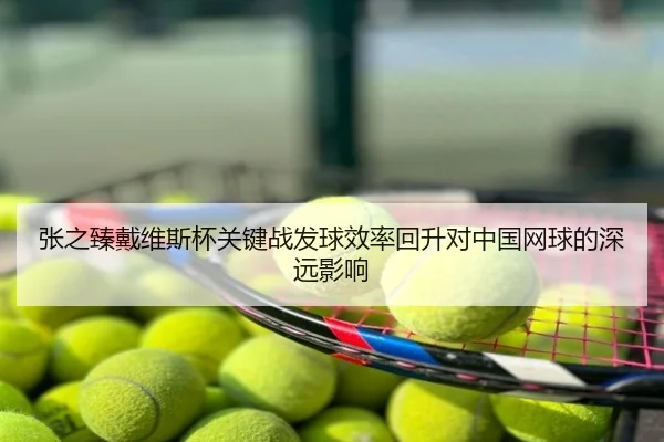 张之臻戴维斯杯关键战发球效率回升对中国网球的深远影响